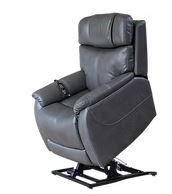 Theorem Winslow Petite power lift chair