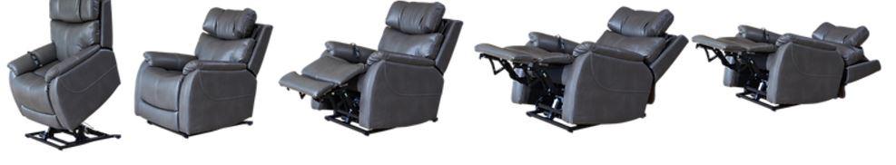 Theorem Winslow power lift recliner ( 5 motors )