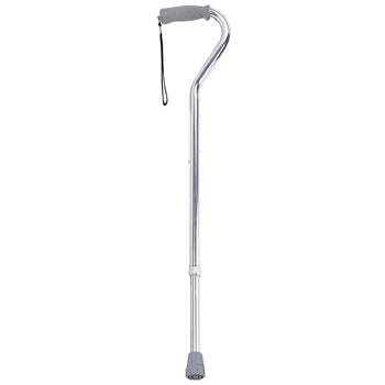 Swan Neck Walking Stick