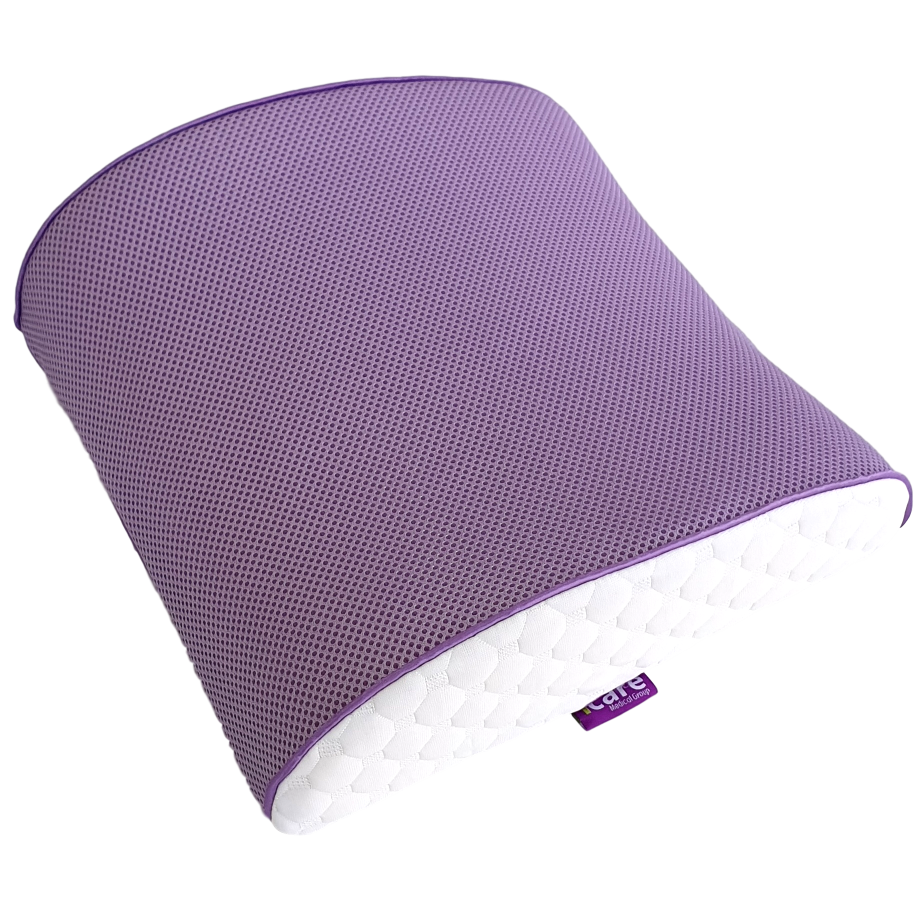 Back Cushion